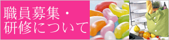 職員募集・ 研修について